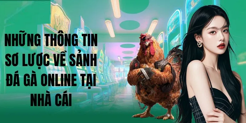 Sân chơi với các trận đấu đá gà kịch tính, nóng hổi